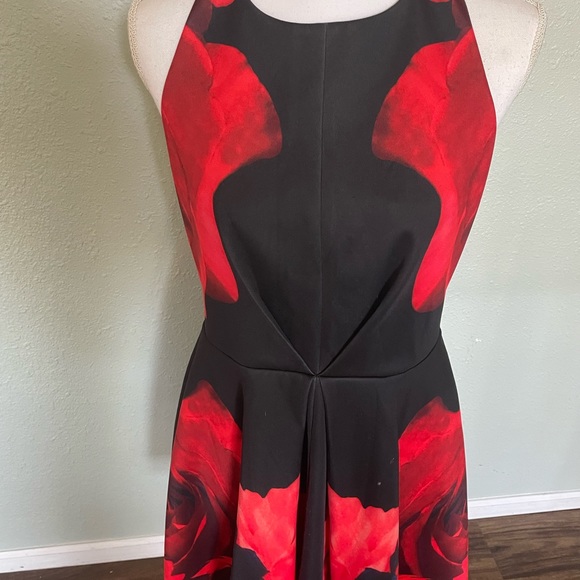 Keepsake brand, size Large, mini dress - Picture 3 of 4